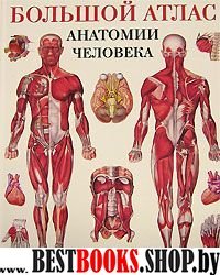 Большой атлас анатомии человека (в табл)тв