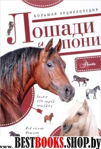 Большая энциклопедия. Лошади и пони
