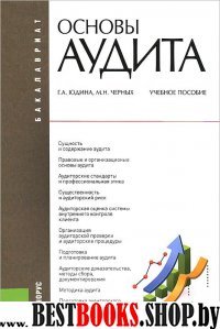 Основы аудита(бакалавриат).Уч.пос.6 изд