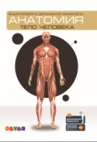 Анатомия: Тело человека. Энциклопедия в дополненной реальности