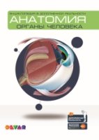 Энциклопедия в дополненной реальности Анатомия: Органы человека А4