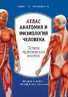 МедАтл Атлас: анатомия и физиология человека