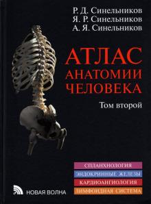 Атлас анатомии человека в 3-х т. Том 2