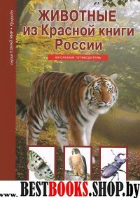 Животные из Красной книги России.Школьный путеводитель