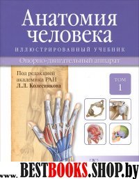 Анатомия человека: иллюстр. учебник: в 3 т. Т.1