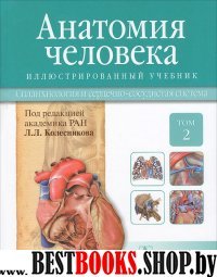 Анатомия человека.Т.2-Спланхнология и сердечно-сосудистая система.Учебник в 3 то