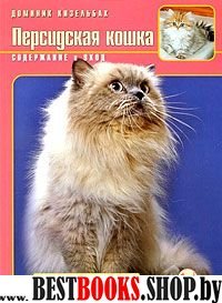 Персидская кошка. Содержание и уход