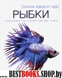 Рыбки-экзотика подводного мира