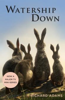 Watership Down  (Ned)