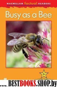 Mac Fact Read: Busy as a Bee