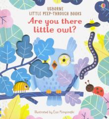 Are You There Little Owl? (board bk)