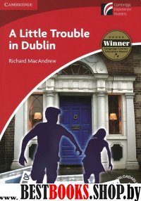Little Trouble in Dublin: Paperback