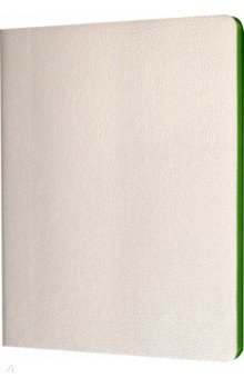 Ежедневник недат.B6+ Arti сереб.лайм.об24711/47/19