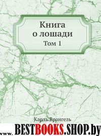 Маша и Медведь.Сюрприз от Маши и Миши!Чудо-набор для игры и творчества!