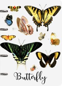 Тетрадь на кольцах 80л, Butterfly Sev 10826-EAC