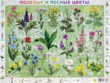 Пазл. Полевые и лесные цветы России