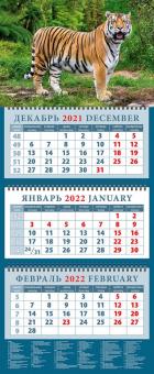 14203 2022 Календарь Год тигра. Могучий власт джун