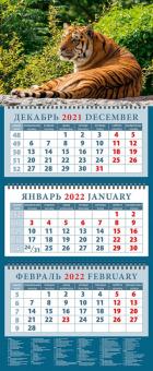 14207 2022 Календарь Год тигра. Сила и уверенность