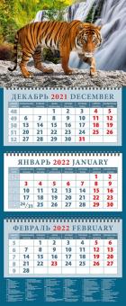 14209 2022 Календарь Год тигра. Полосатый красавец
