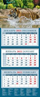 14221 2022 Календарь Год тигра. Приятное купание