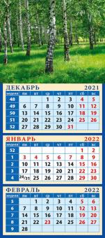 34219 2022 Календарь Березовая роща