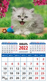 20215 2022 Календарь Забавный котенок