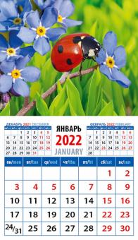 20216 2022 Календарь Божья коровка на незабудке
