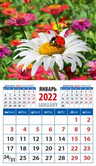 20218 2022 Календарь Божья коровка на ромашке