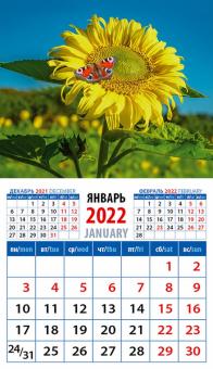 20221 2022 Календарь Бабочка на подсолнухе