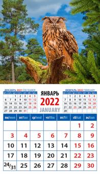 20222 2022 Календарь Мудрая сова