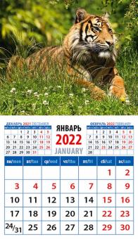 20225 2022 Календарь Год тигра. Спок и уверенность
