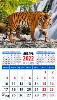 20228 2022 Календарь Год тигра. Полосатый красавец