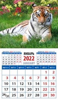 20230 2022 Календарь Год тигра. Сила и грация