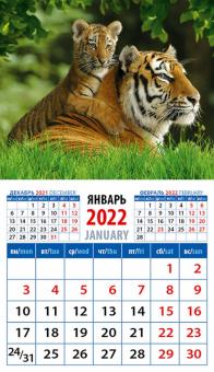 20232 2022 Календарь Год тигра.Тигрица с тигренком
