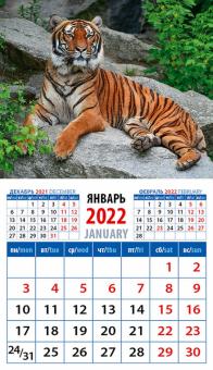 20233 2022 Календарь Год тигра. Наст хозяин джунг