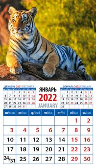20238 2022 Календарь Год тигра. В лучах зак солнца