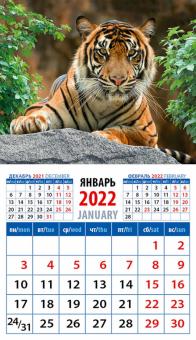 20239 2022 Календарь Год тигра. Симп хозяин джунгл