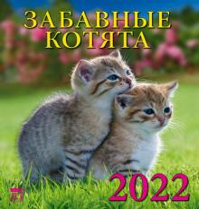 30205 2022 Календарь Забавные котята