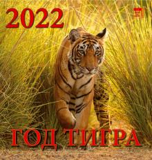 30207 2022 Календарь Год тигра