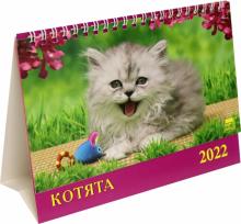 19209 2022 Календарь Котята
