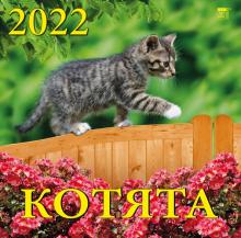 70205 2022 Календарь Котята