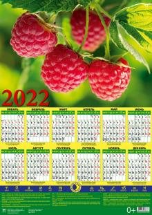 90217 2022 Календарь Лунный календарь. Малина