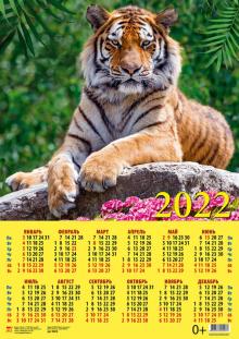 90220 2022 Календарь Год тигра. Симпат.хозяин джун