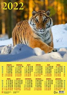 90222 2022 Календарь Год тигра. В зимнем лесу
