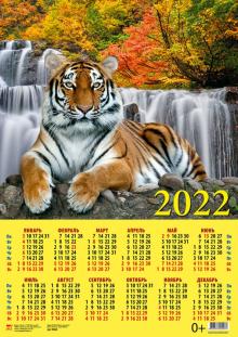 90225 2022 Календарь Год тигра. Отдых у воды