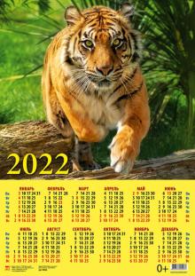 90228 2022 Календарь Год тигра. Наст хозяин джунг