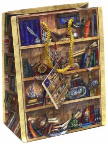 Пакет бумажный 17,8х22,9х9,8 Книжные полки (44178)