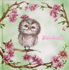 Зап.книжка Notebook 48л,105*105мм,МИЛАЯ СОВА,50739