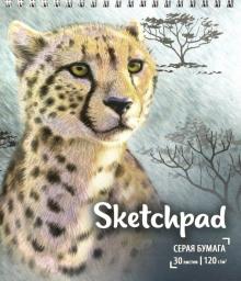Скетчпад 30л,168х195,греб,ГЕПАРД,51494