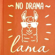 Зап.книжка Notebook 80л,105х105,ЛАМА В ОЧКАХ,50787